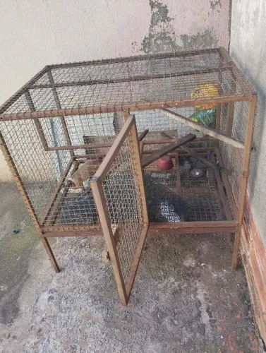Gaiola para criação 
