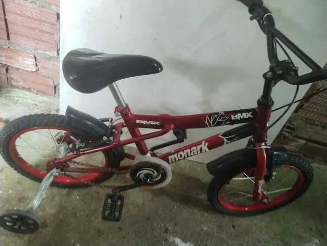 Bicicleta