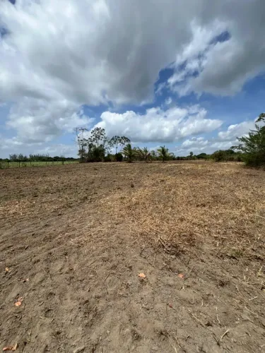Imóvel para venda em aldeia - camaragibe tem 675 metros quadrados em