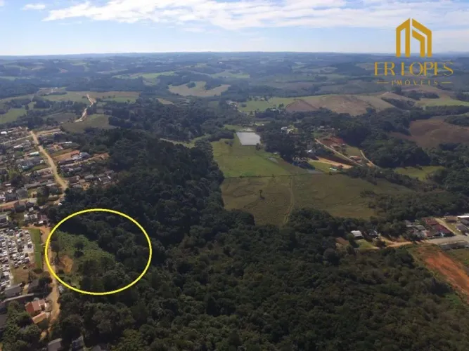 Área à venda, 35733 m² por R$ 790.000,00 - Centro - Quitandinha/PR