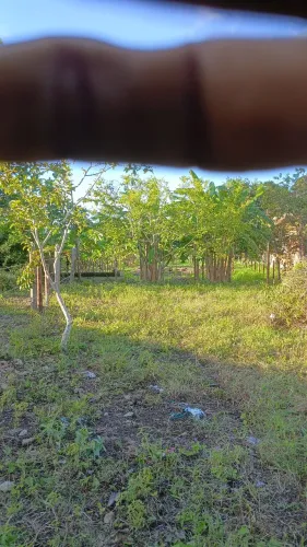 Terrenos