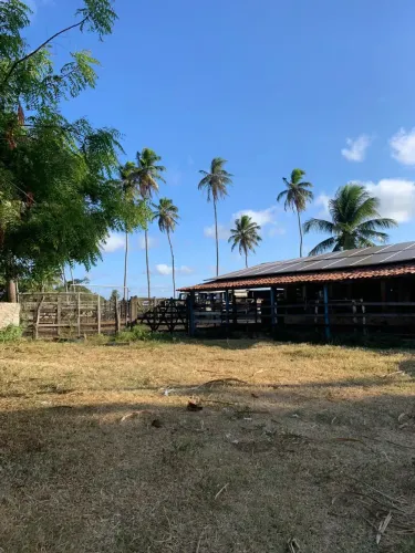 Fazenda com 30 hectares no vale de Ceará mirim
