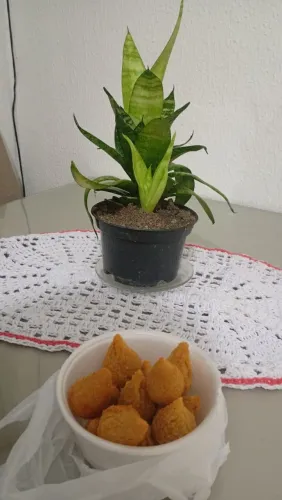 Salgados pra a copa