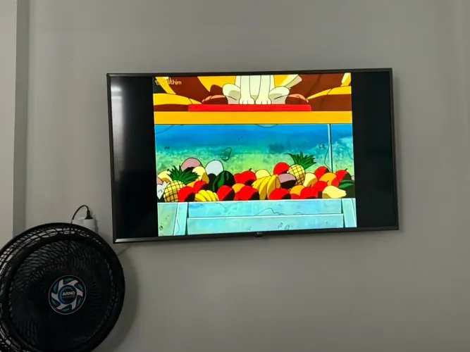 TV LG LED 50?