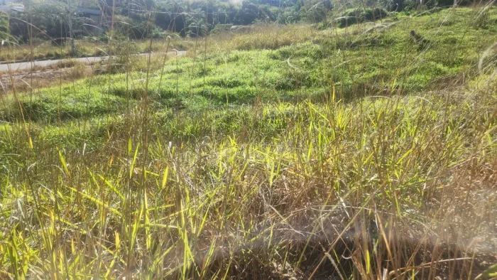 Excelente lote financiado em Ibirité 