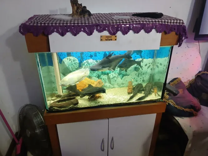 Aquerio