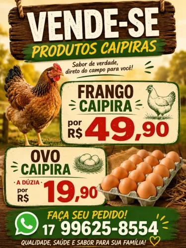 Vende-se ovos e frango caipira 