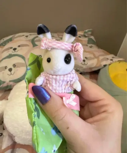 Acampamento BlackBerry