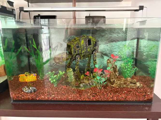 Aquário 54L com decoração