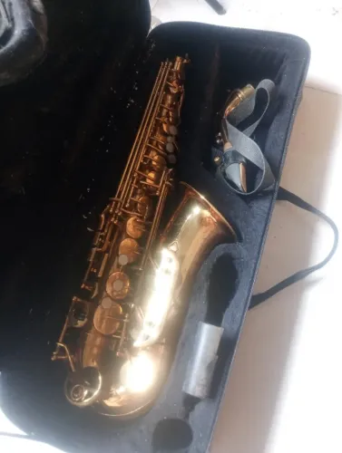 Sax Alto Shelter