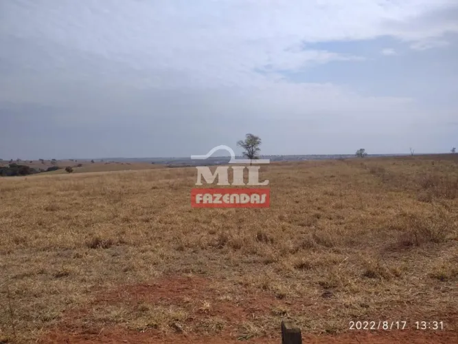 Fazenda em Santa Vitória - MG - 2.720 Há