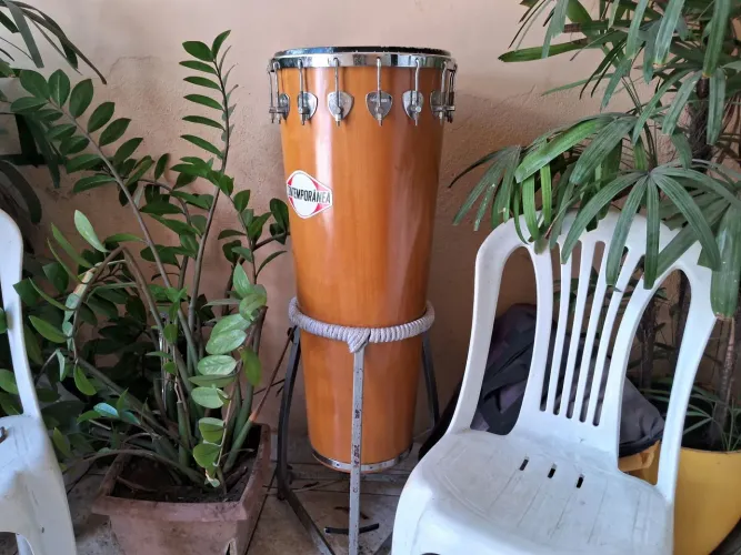 Timbal
