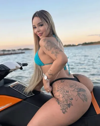 Faxina