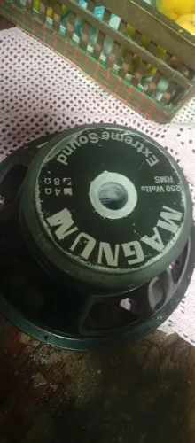 Auto falante 10 polegadas medio grave magnum 250w pra arrumar