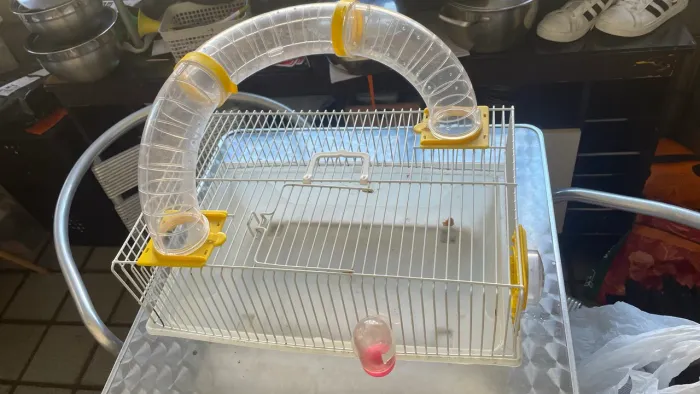 Gaiola de hamster