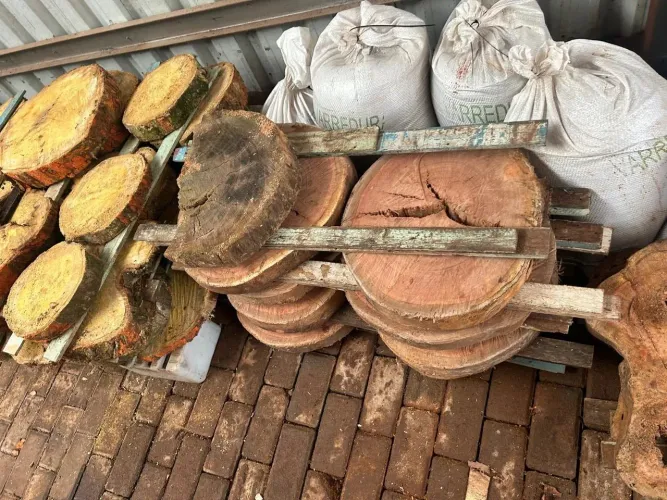 Bolacha de madeira Várias medidas 