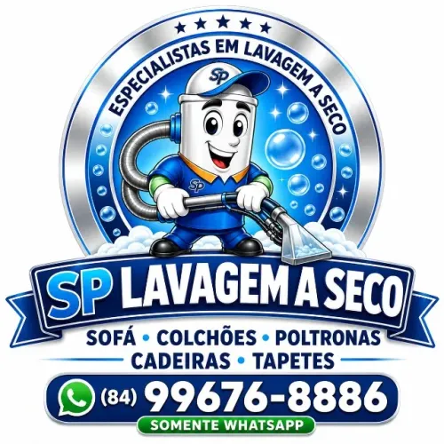 lavagem a seco
