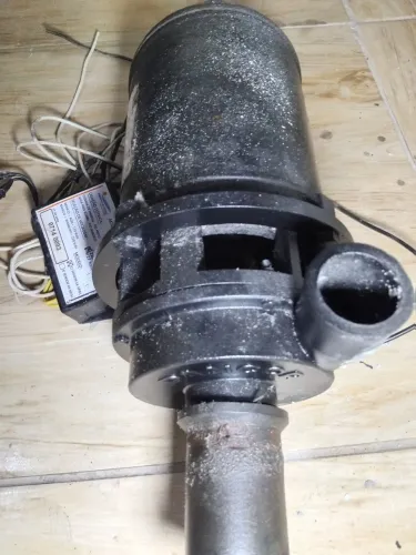 Motor de hidromassagem com acionador eletrônico 110/220