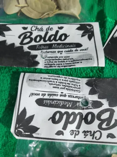 Folha de Boldo - planta medicinal