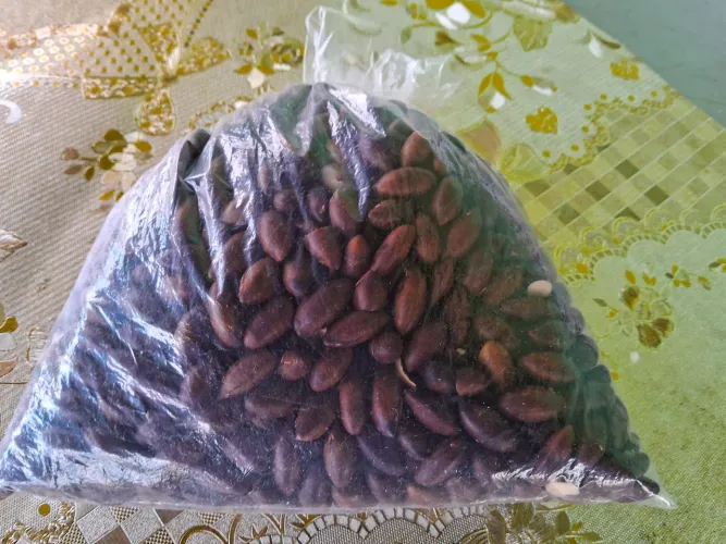 Castanha de baru