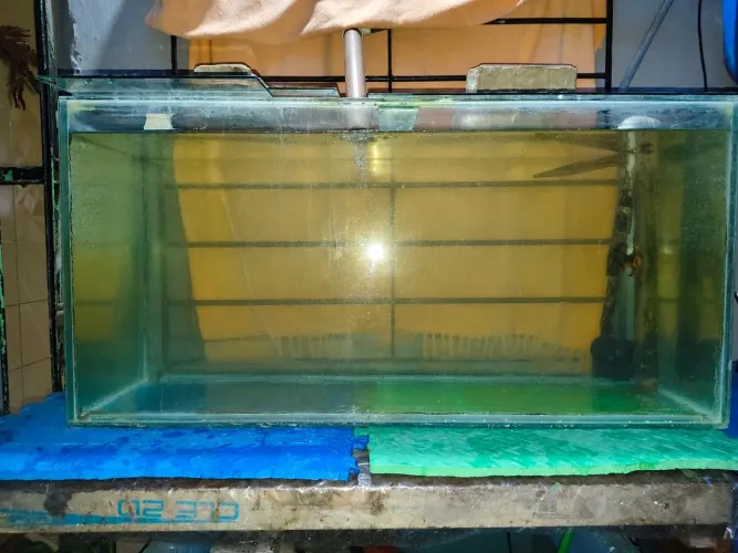 Aquário de 200l