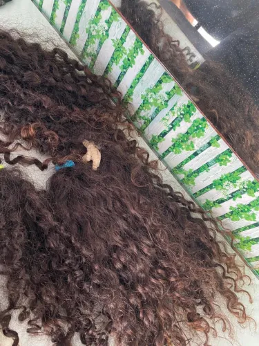 Vende-se cabelo humano cacheado natural. Nunca recebeu química nem tinta