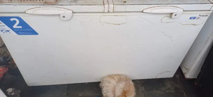 Vendo 3 frizer horizontal