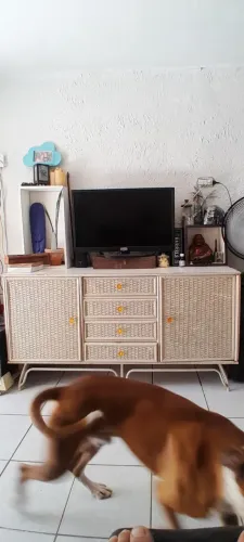 Rack Antigo peça única 