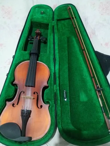 Violino