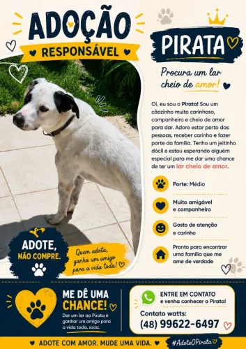Doação 