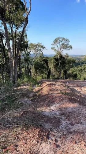 Terrenos de 1.000m² em Meio à Natureza na Divisa de Mairinque e São Roque