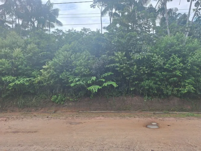 Vende-se terrenos 10x30 bairro Santa Catarina castanhal, próximo a marechal Deodoro 