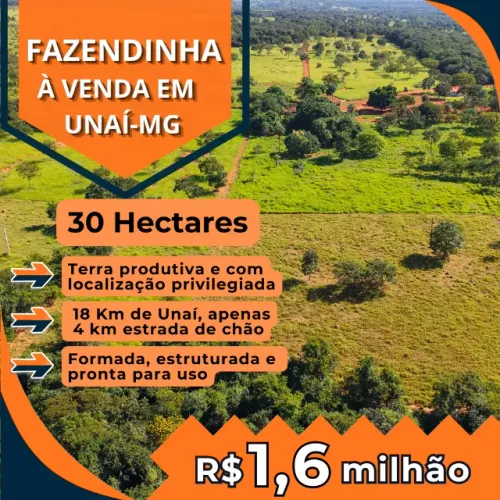 Fazendinha com 30 Hectares pertinho da cidade