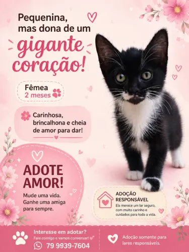 adoção