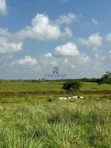 Fazenda, São Sebastião do Passé - R$ 7.08 mi, Cod: 68864