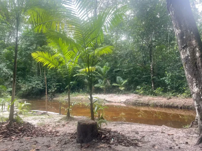 Casa em vigia