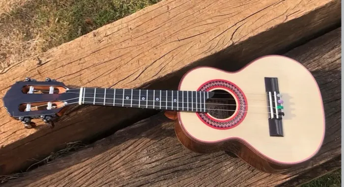 Cavaquinho Júnio Américo 