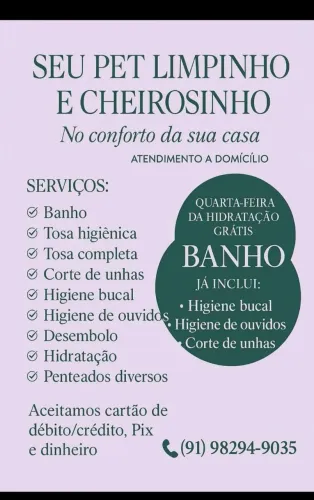 Banho E Tosa A Domicílio!