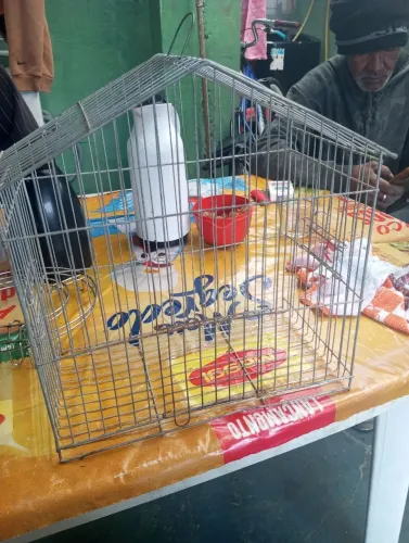 Gaiola