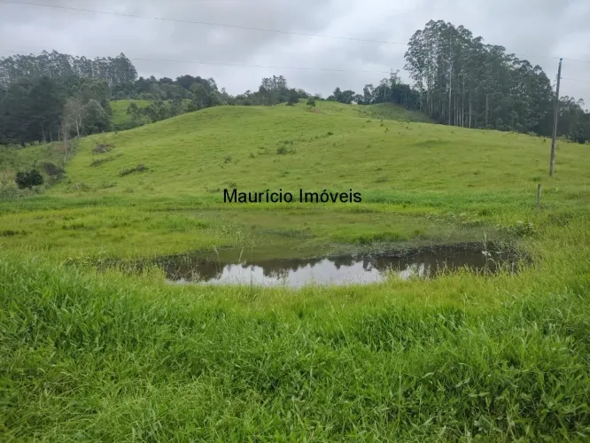 SITIO 13,88 HECTARES ARROIO GRANDE A 7 KM DA CIDADE DE POUSO REDONDO - S.C. IDEAL PARA CRI