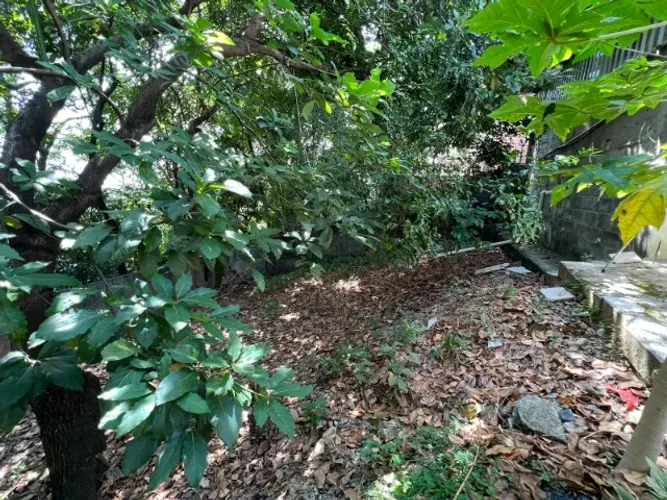 Terreno - 300m2