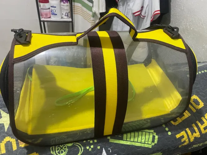 Bolsa transparente pra transportar seu pet 