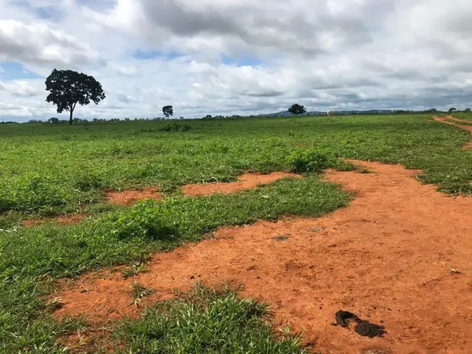 FAZENDA À VENDA EM FAZENDA NOVA GO - 105 ALQUEIRES