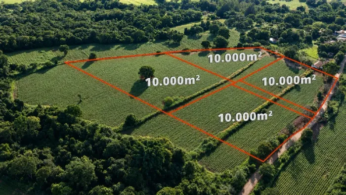 Área Comercial com 10.000m² na Região da Macaúba em Nerópolis