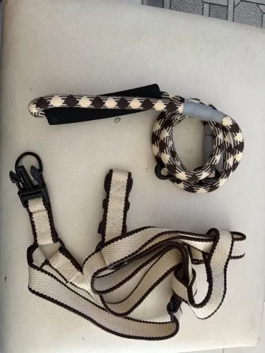 Peitoral + Guia para Cachorro Pequeno/Médio - Novo, Nunca Usado