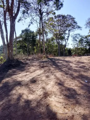 Mais Liberdade para Aproveitar um Novo Estilo de Vida