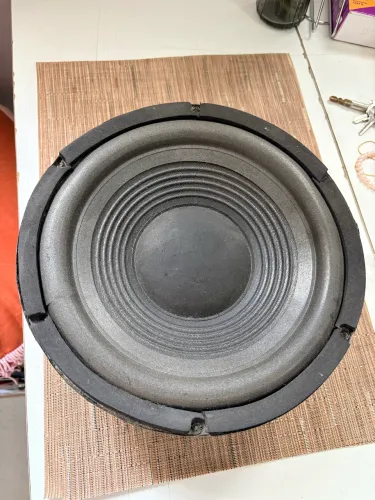 Alto Falante SubWoofer Arlen 10 polegadas antigo