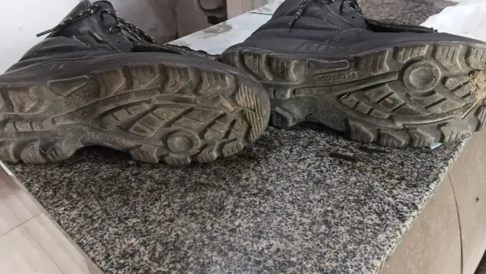 Bota 