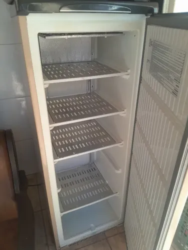 Freezer vertical