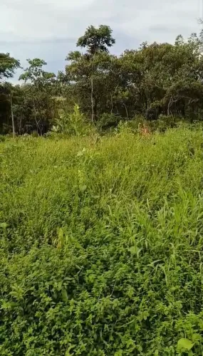 Chácara ? Condomínio Estância dos Girassóis | Contagem/MG